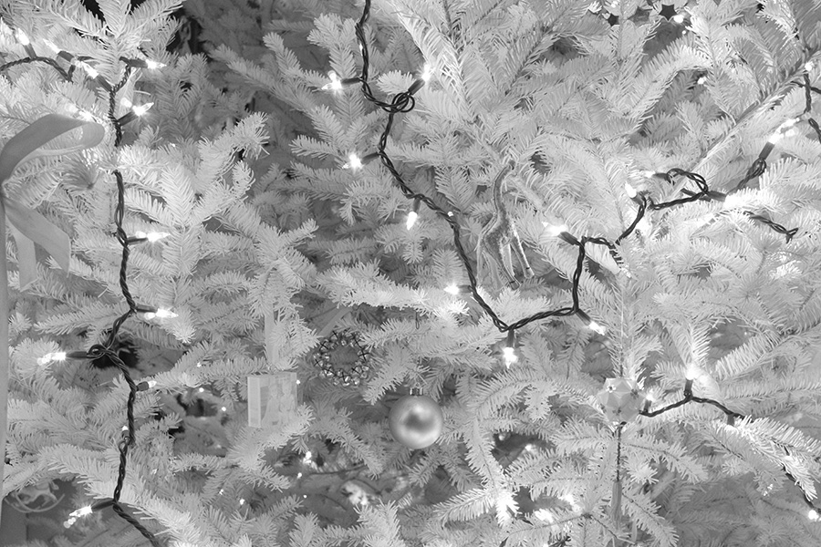 Close Up of Christmas Lights and Decoration on Evergreen